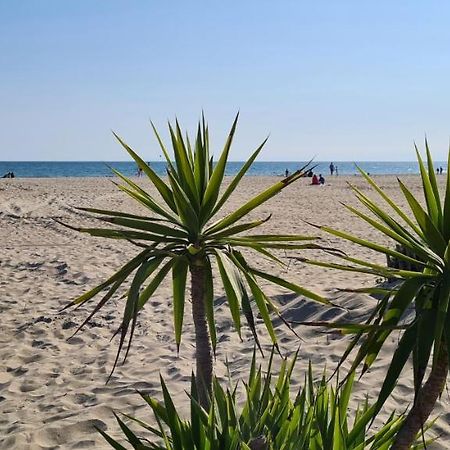 Joli T2 Avec Jardin Plage Richelieu - 6 Personnes Agde Esterno foto